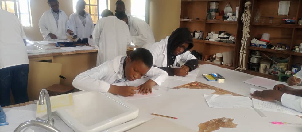 Students In The Laboratory